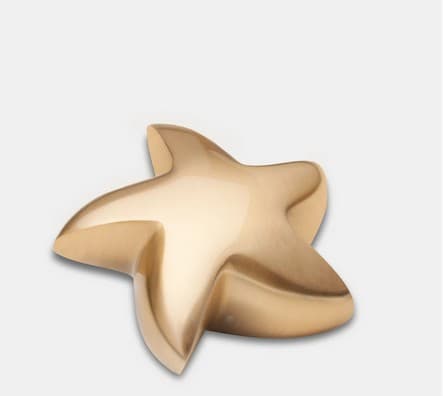 Brushed Gold (Keepsake Star)