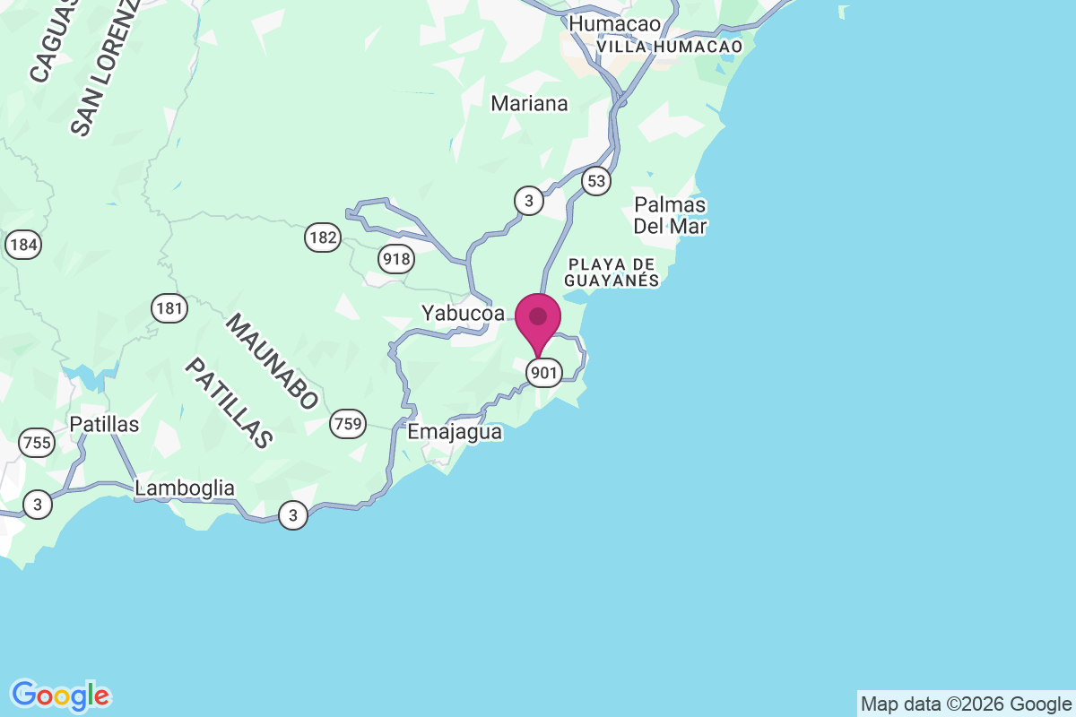 El Negro map