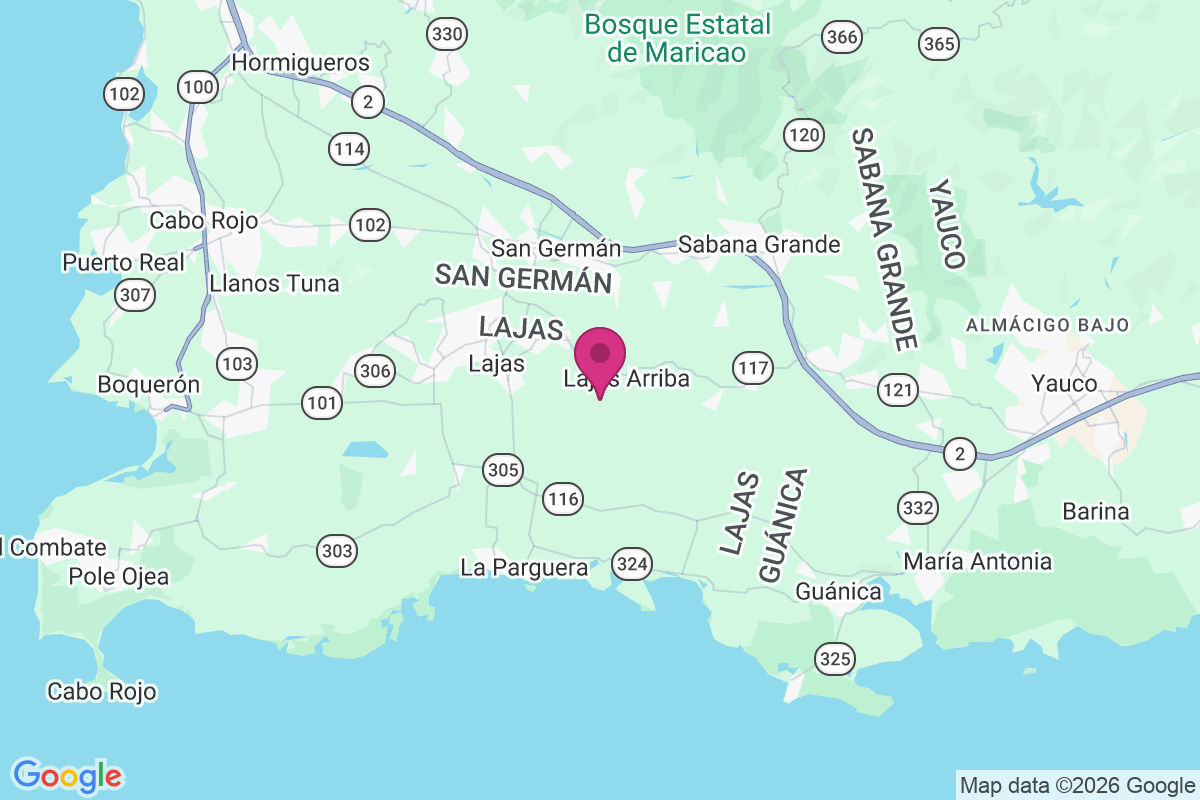 Parada de Senal Irizarry map