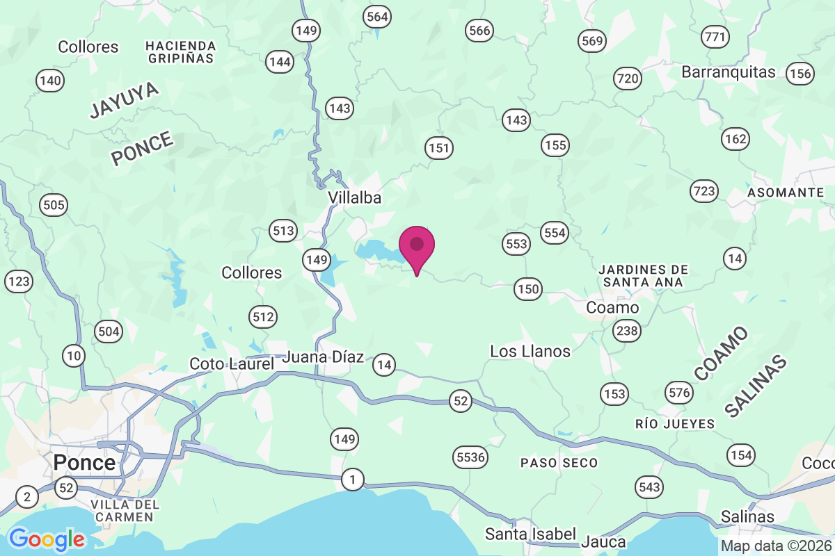 Palma Sola map