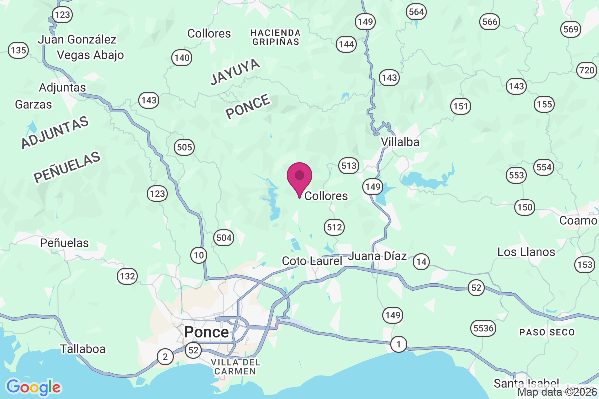 Real Arriba map