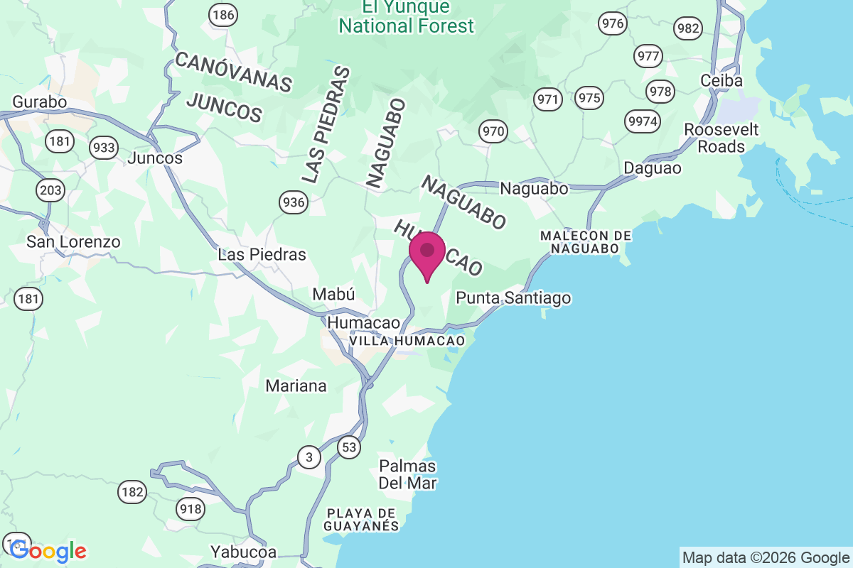 Pasto Viejo map