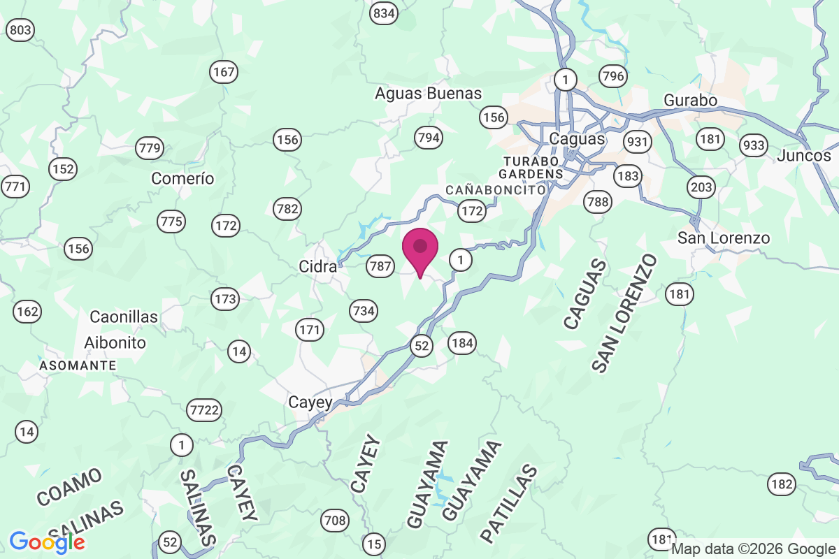 Bayamon map