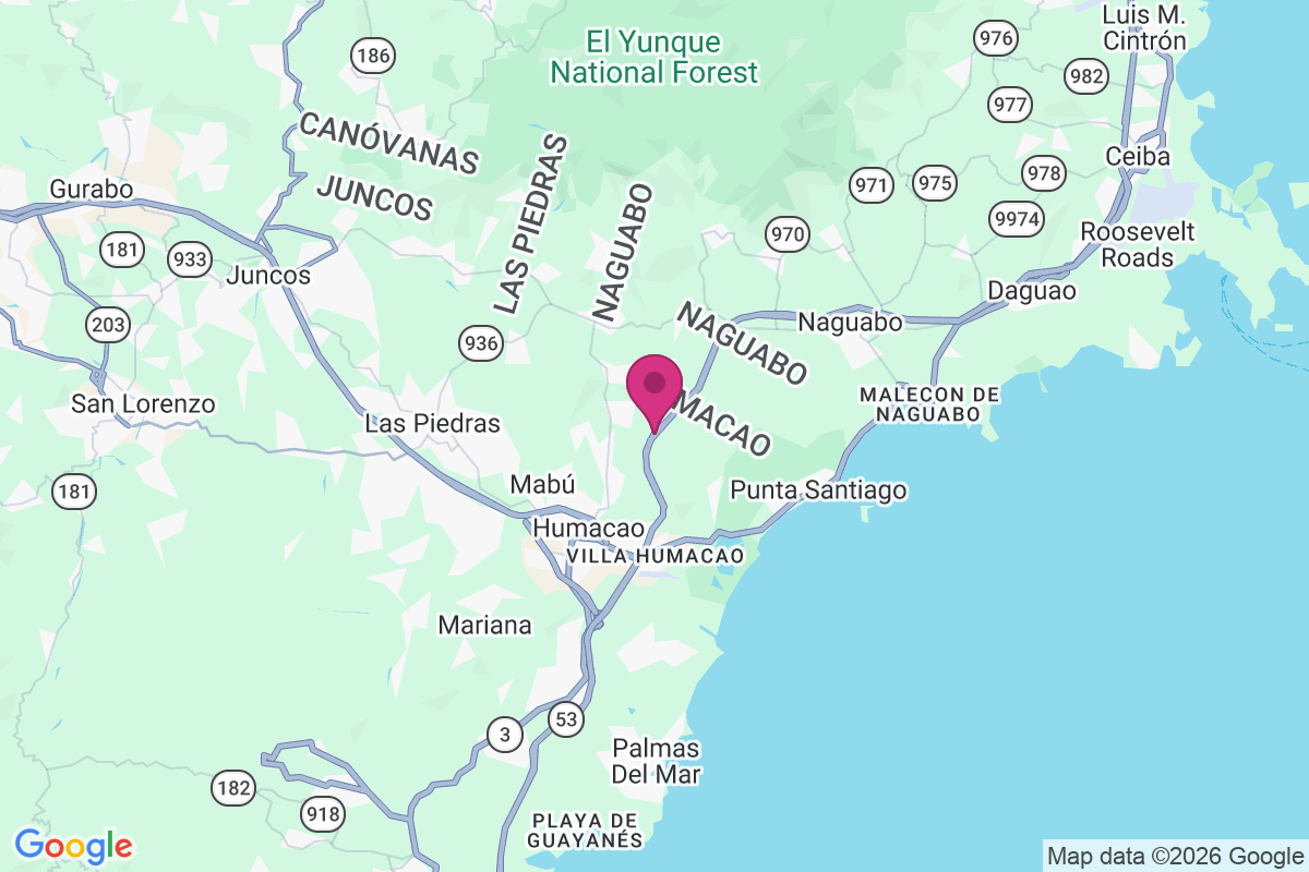Anton Ruiz map