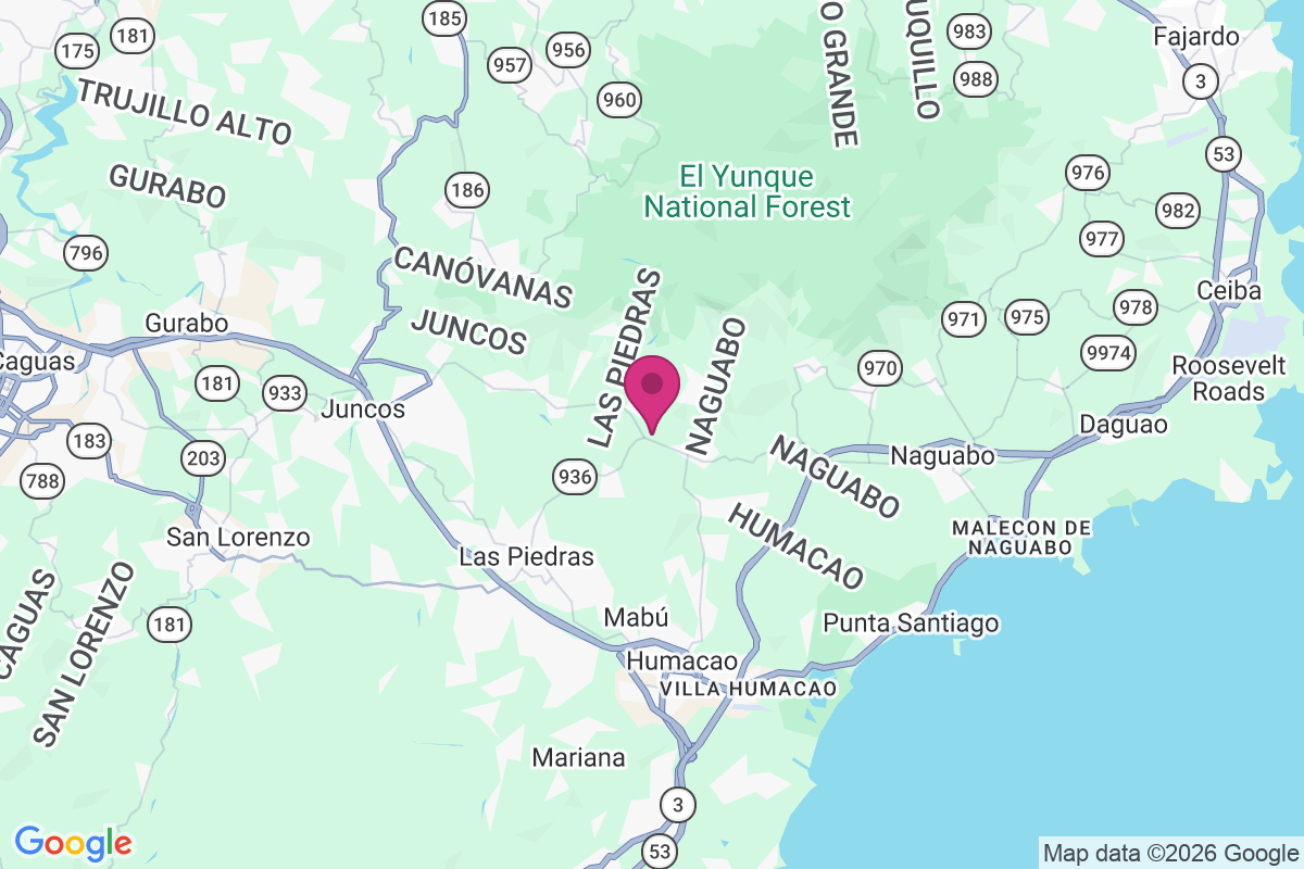 Las Torres map