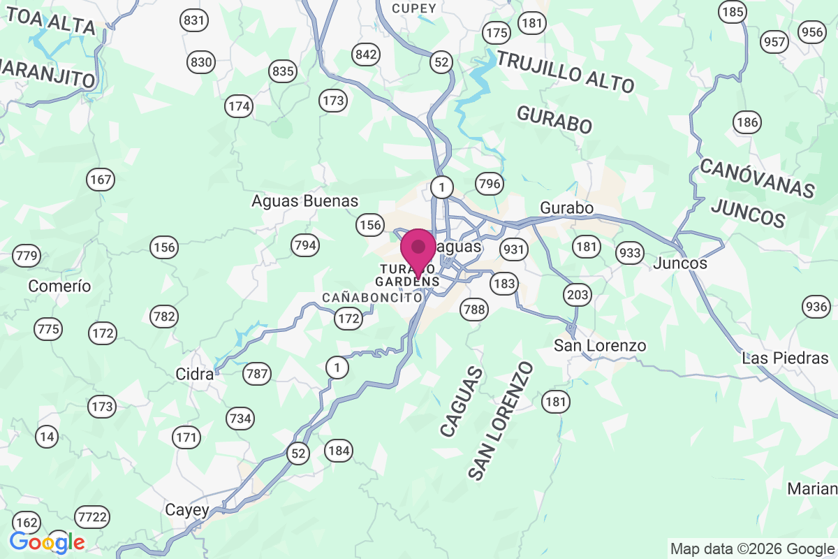 El Verde map