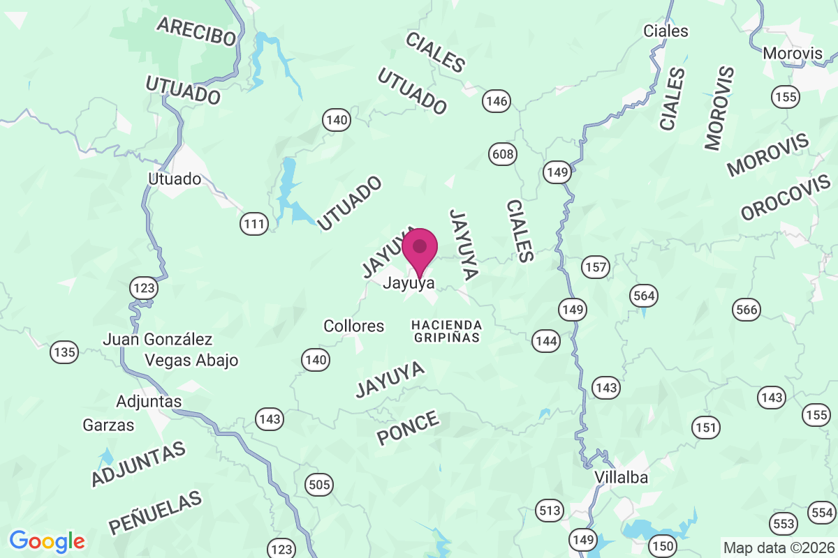 Jayuya map