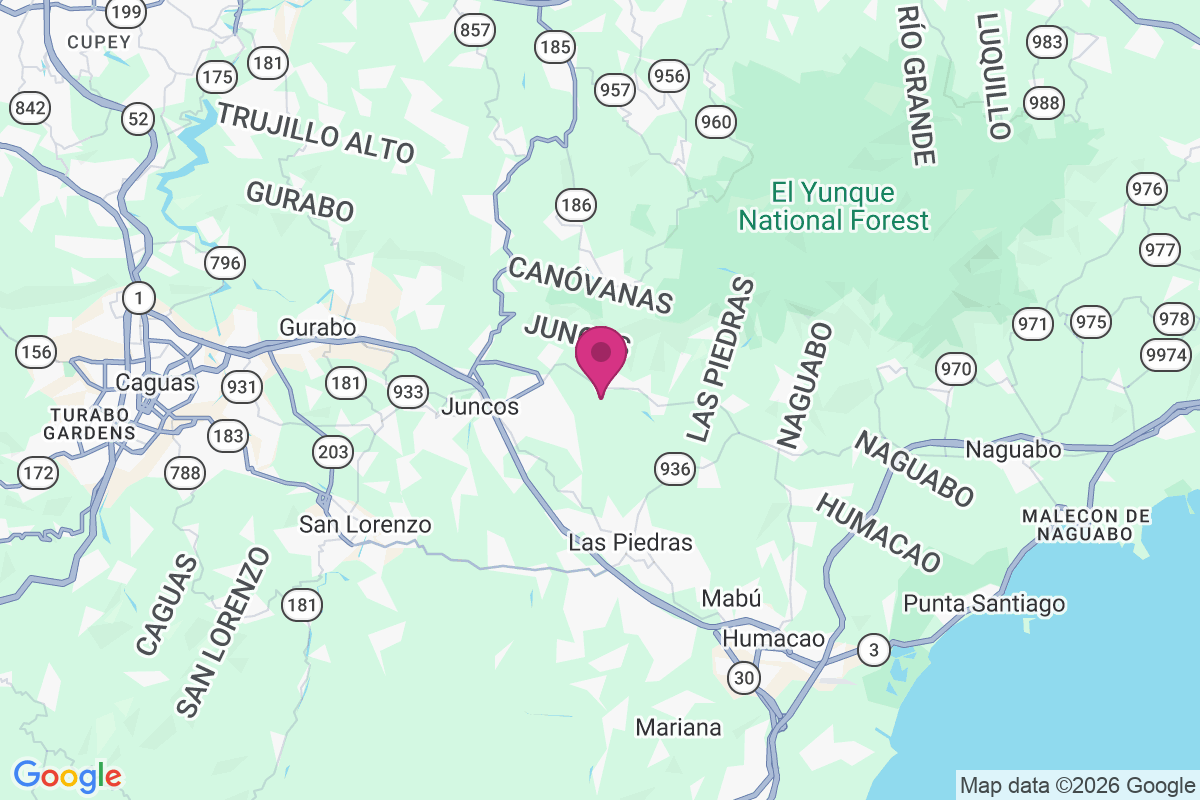 El Mango map
