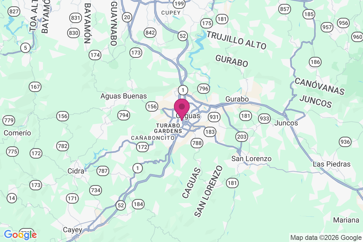 Caguas map