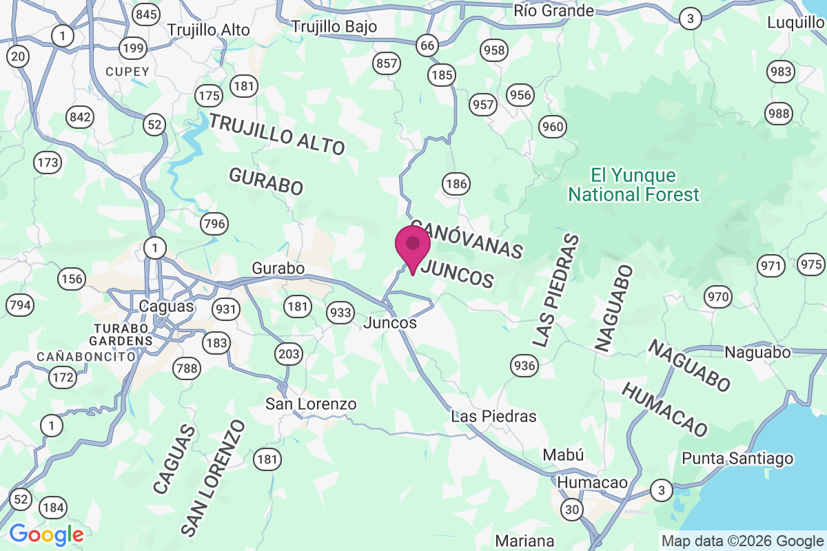 Las Pinas map