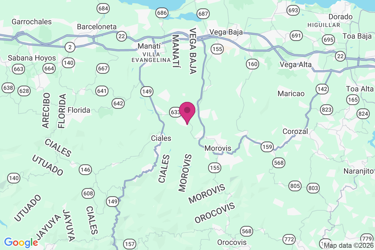 Barahona map