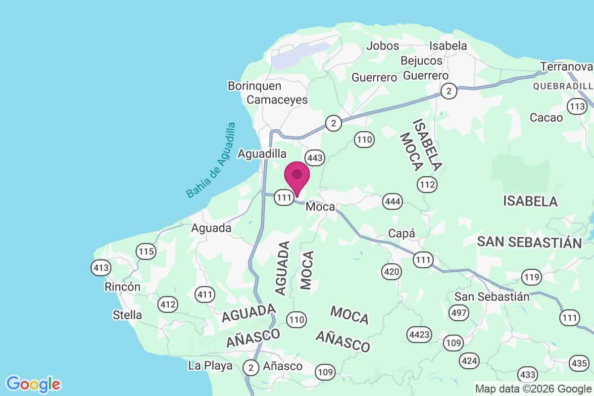 Centro Palmar map