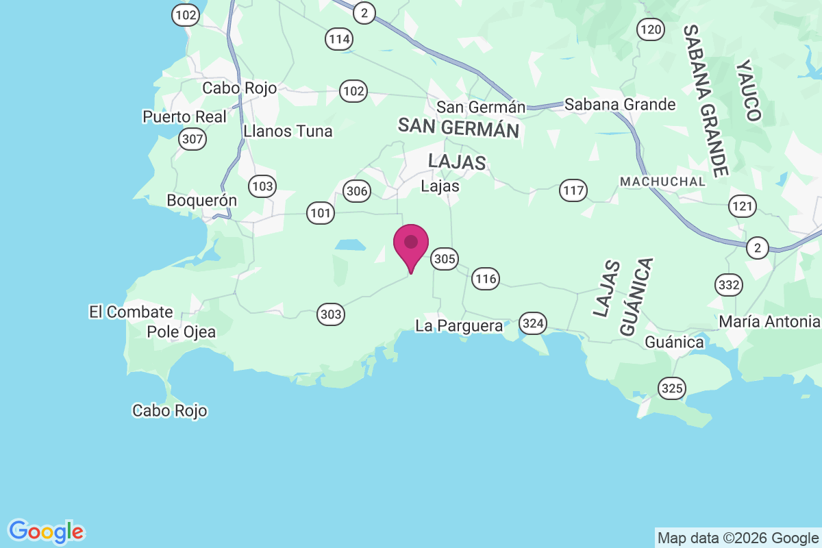 Olivares map