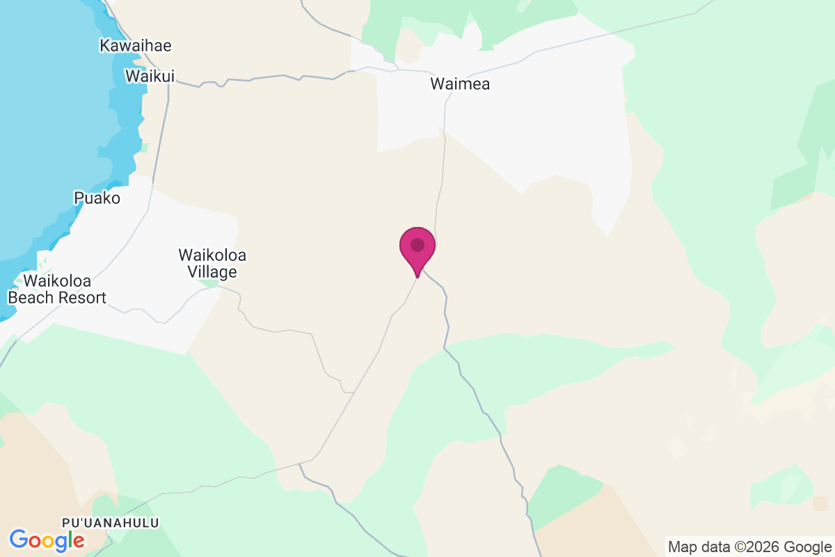 Saddle Road Junction map