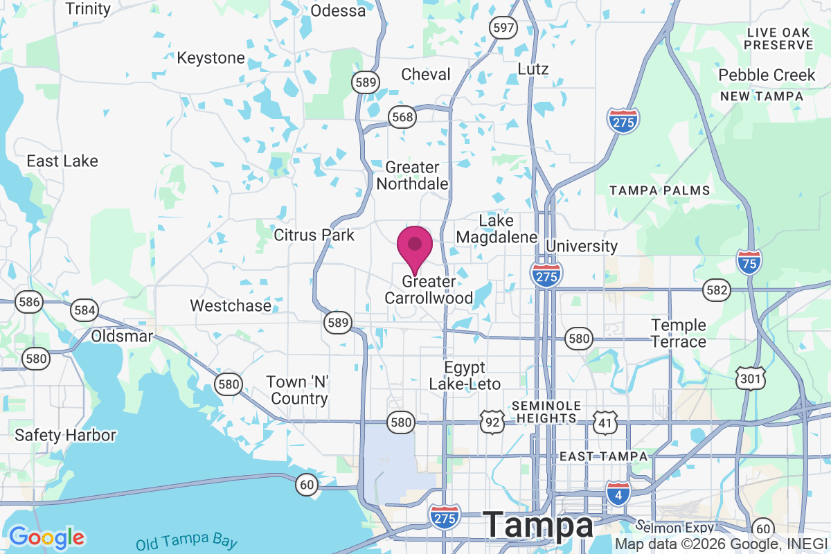 Carrollwood Village map