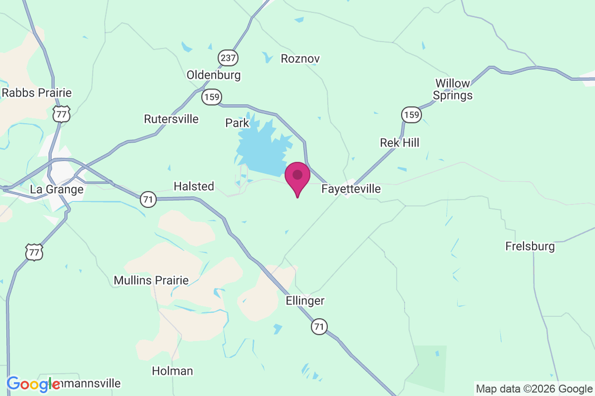 Tamberg map