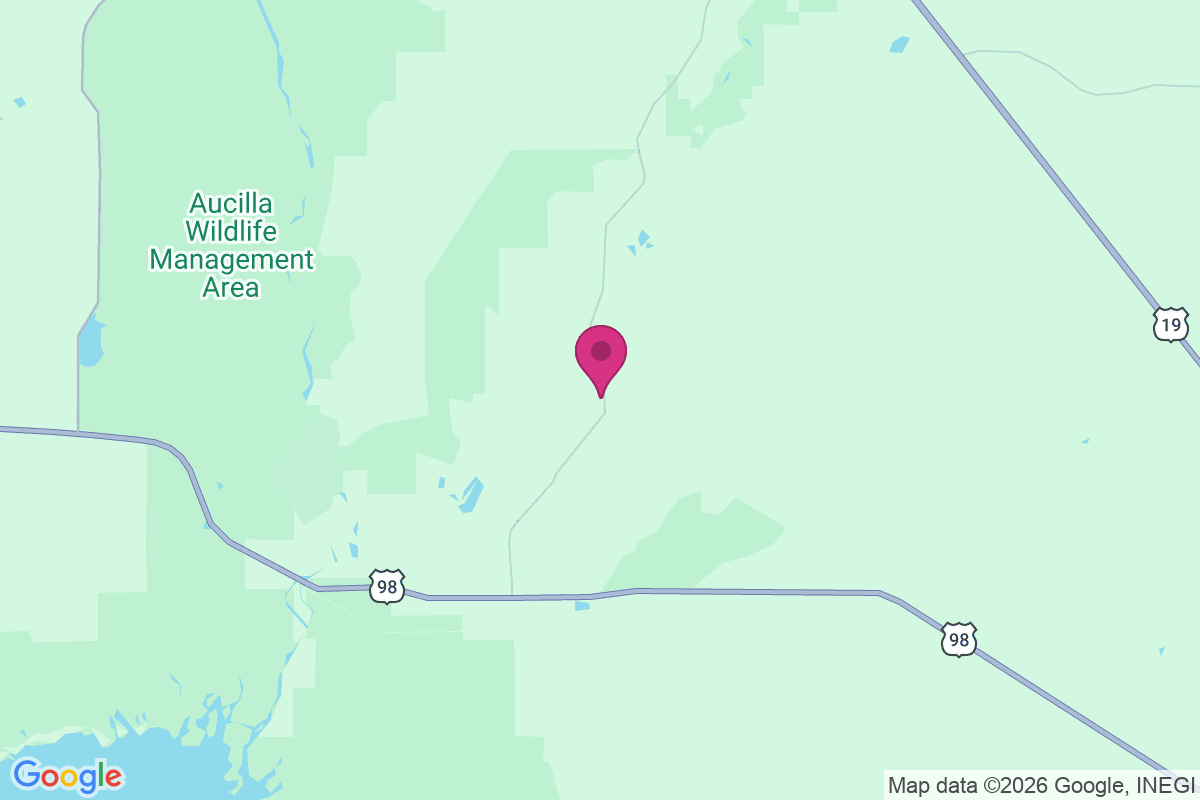 Cabbage Grove map