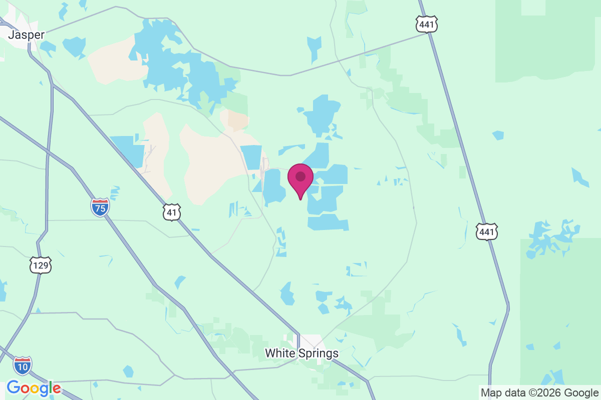 Purvis Still map