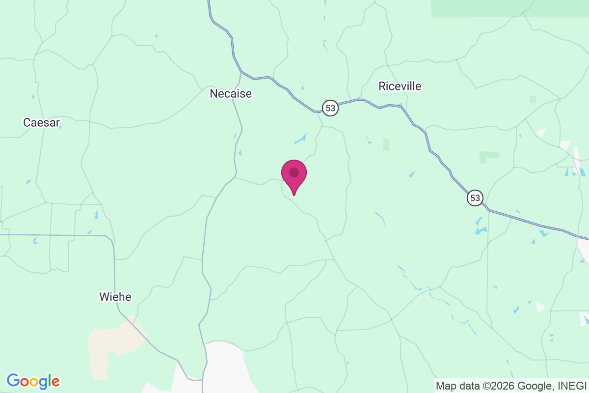 Standard map