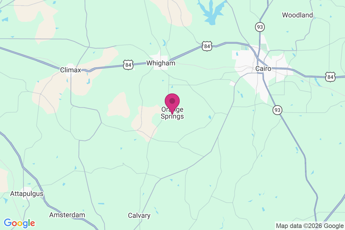 Orange Springs map