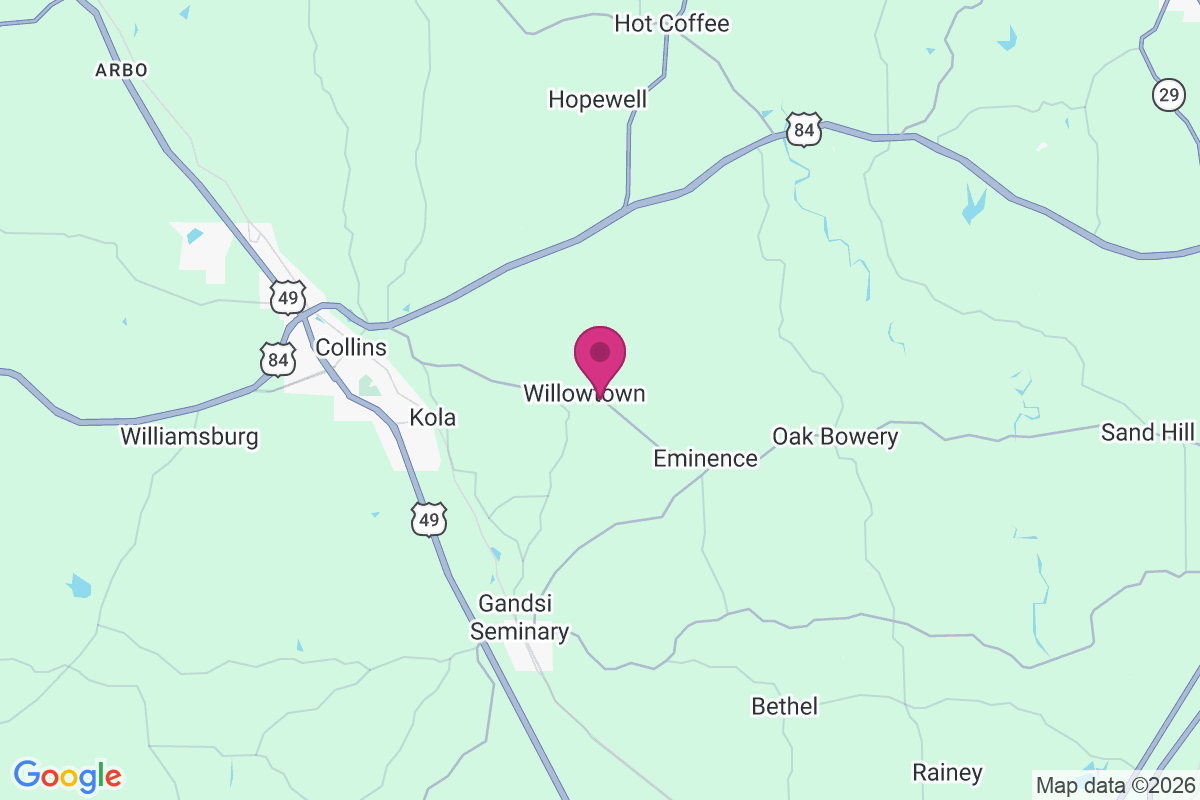 Willowtown map