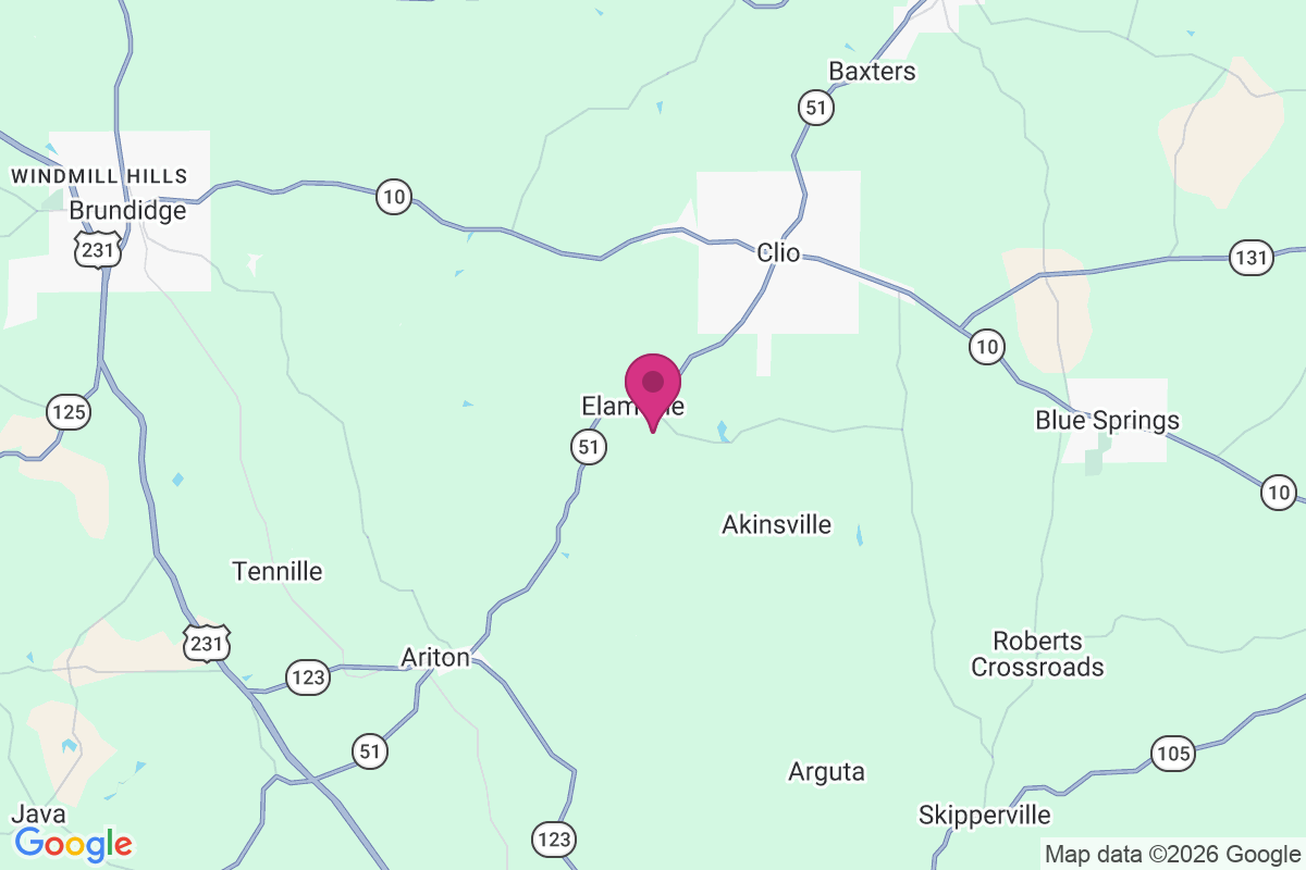 Elamville map