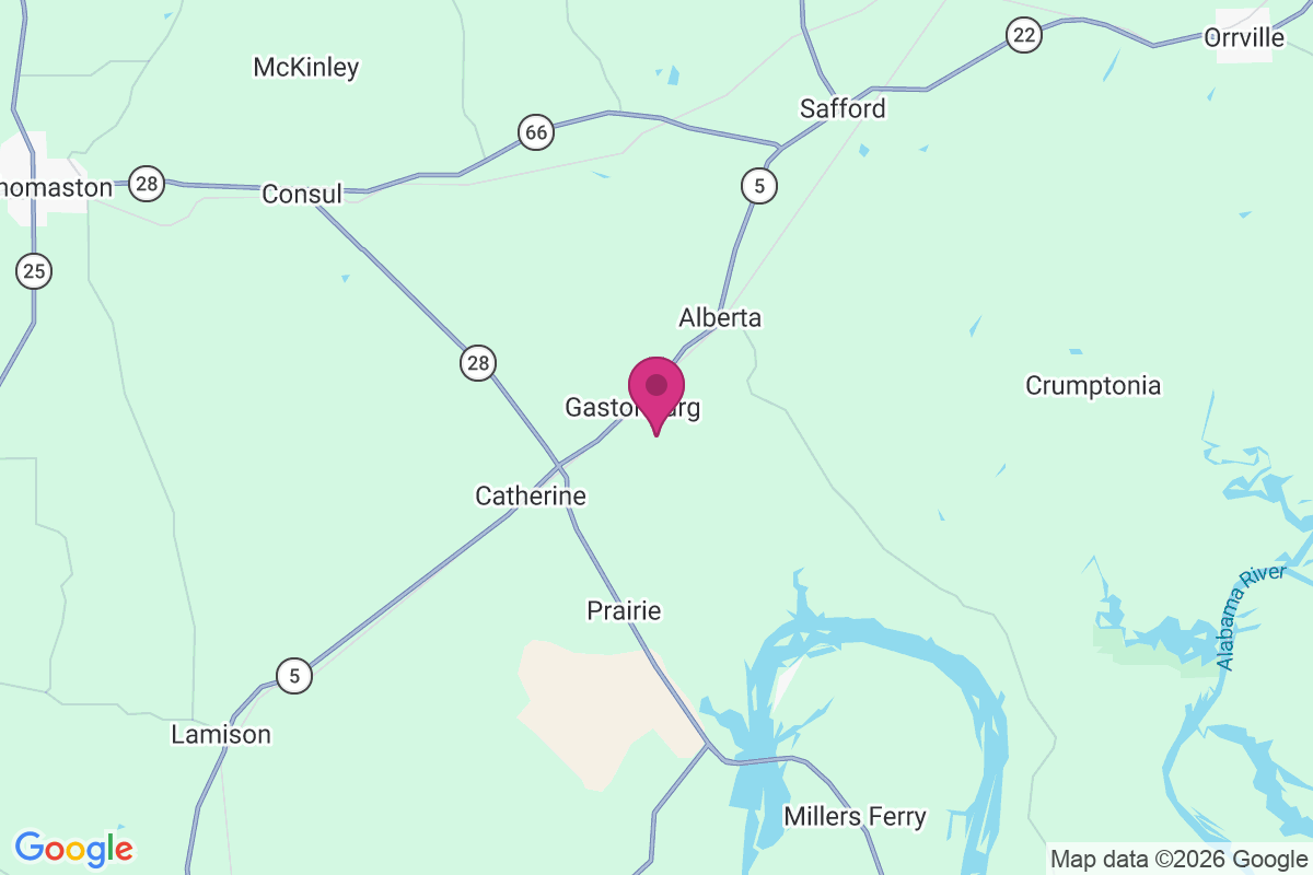 Gastonburg map