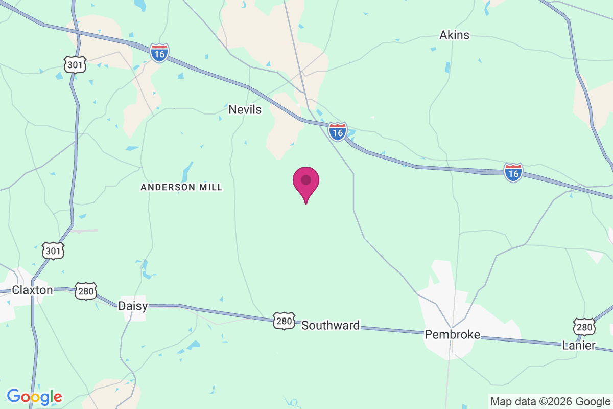Statesborough map