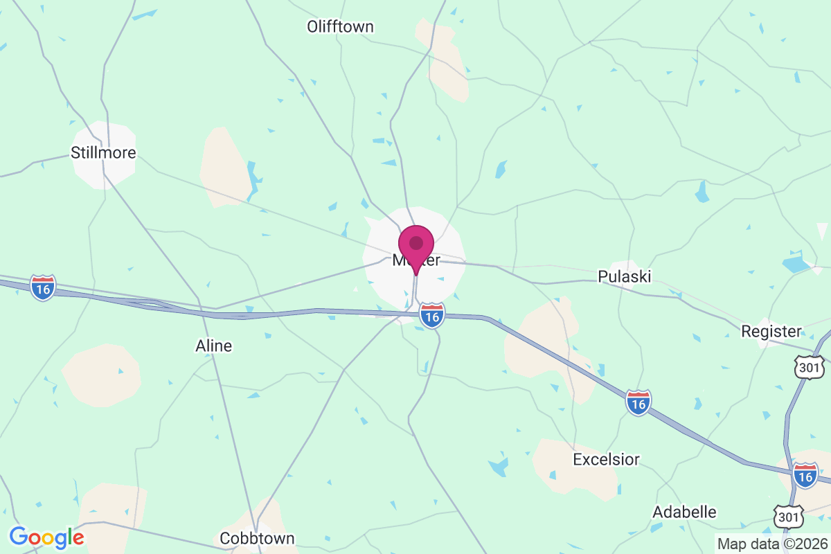 Metter map