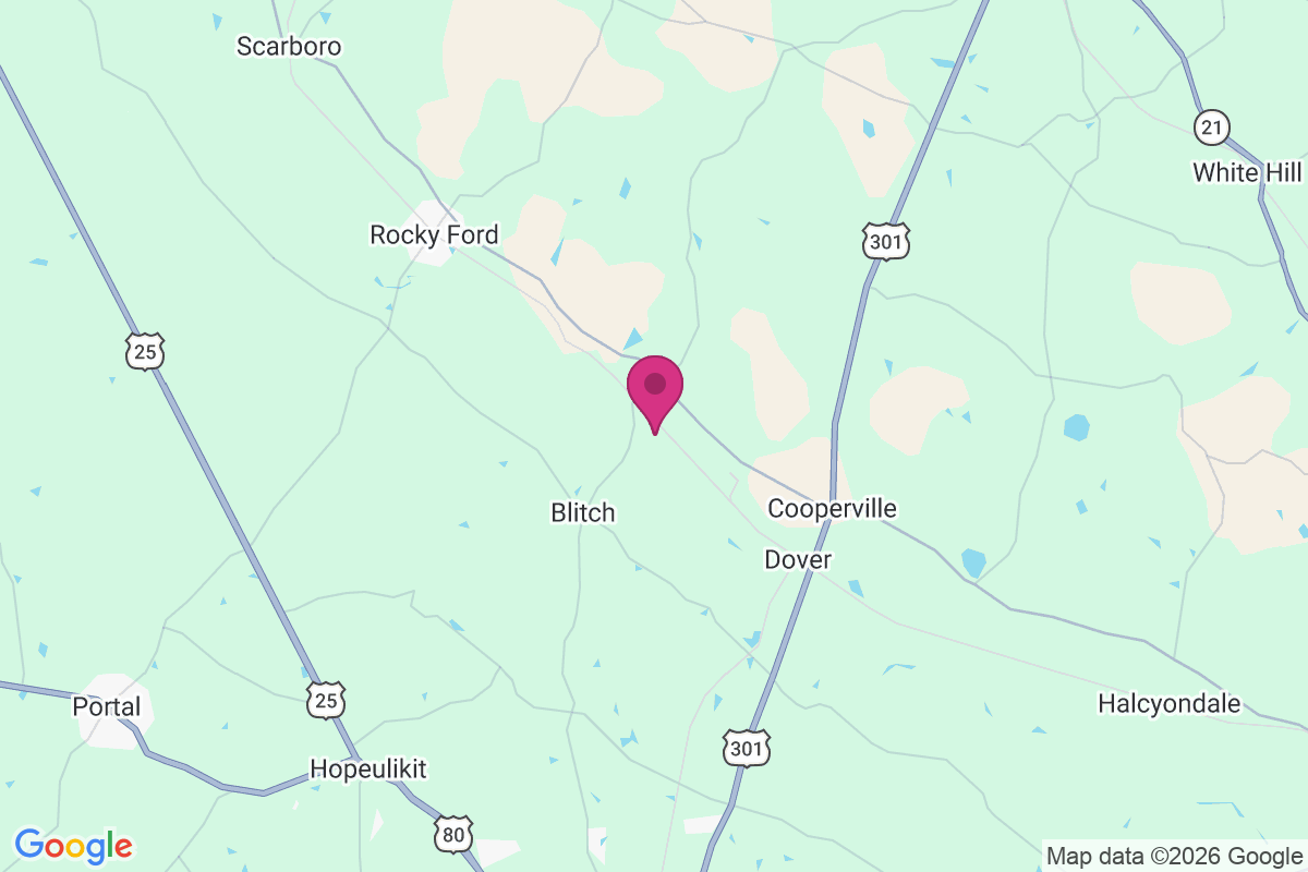 Ogeechee map
