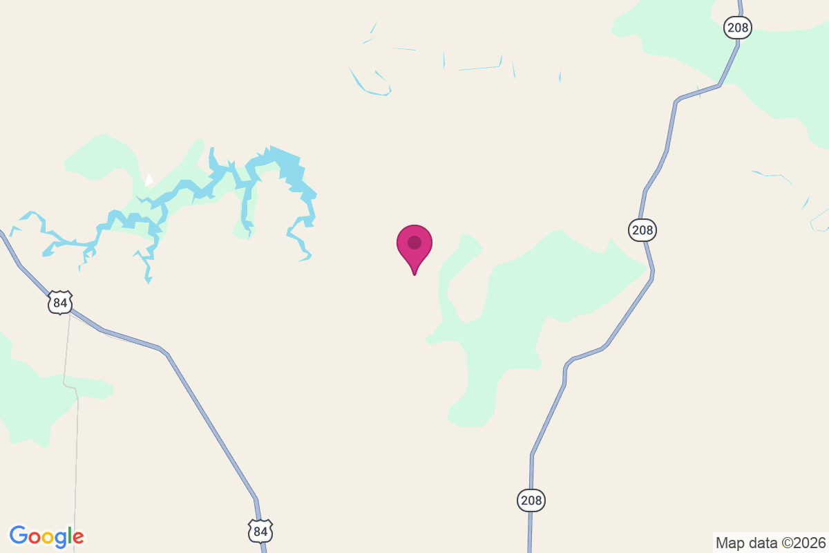 Polar map