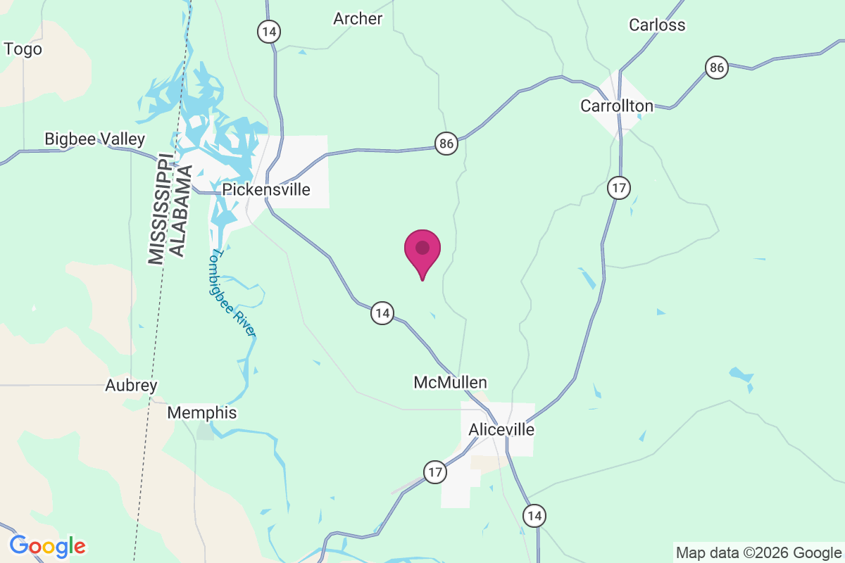 Beaver Town map