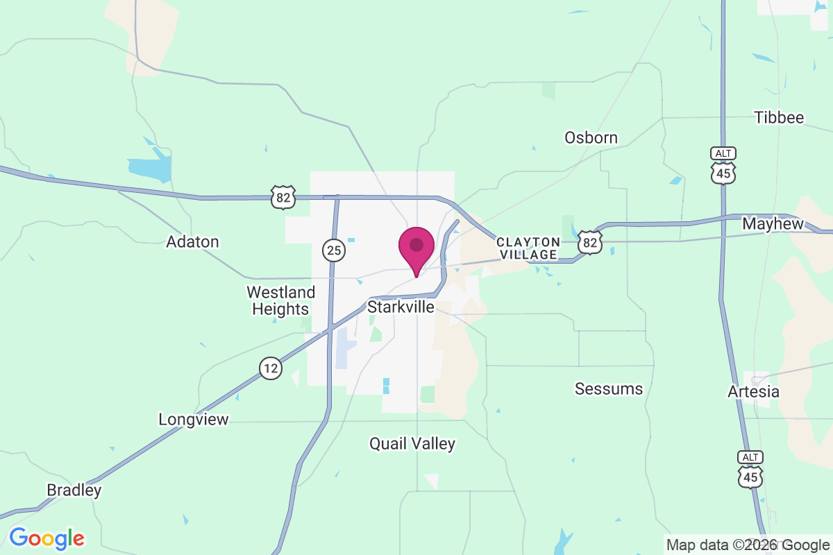 Mississippi State map