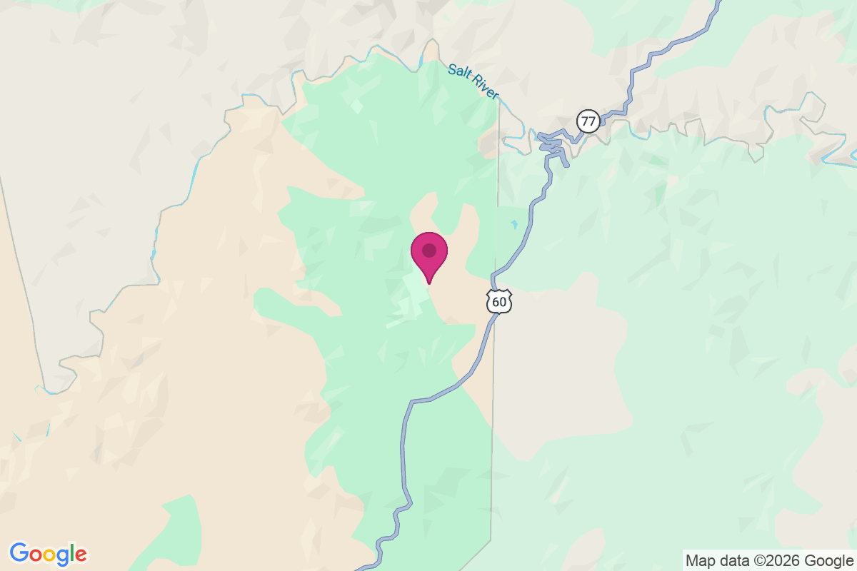 Chrysotile map