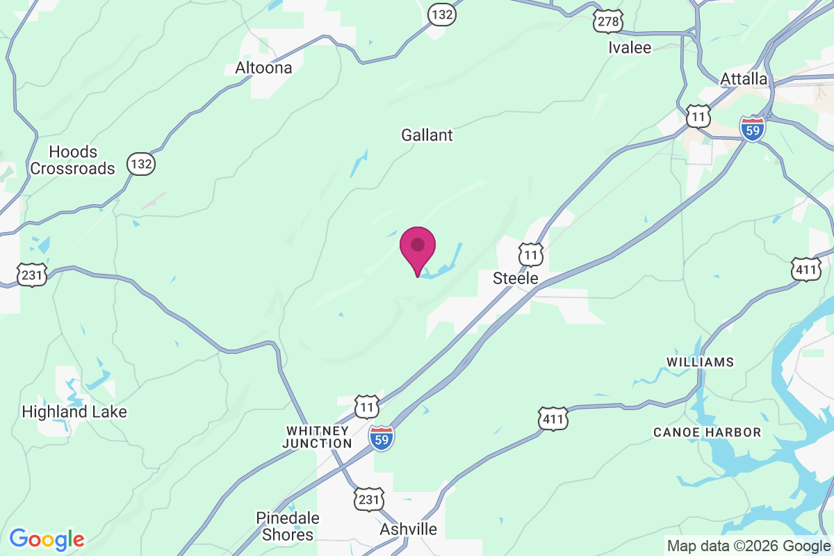 Chandler Mountain map
