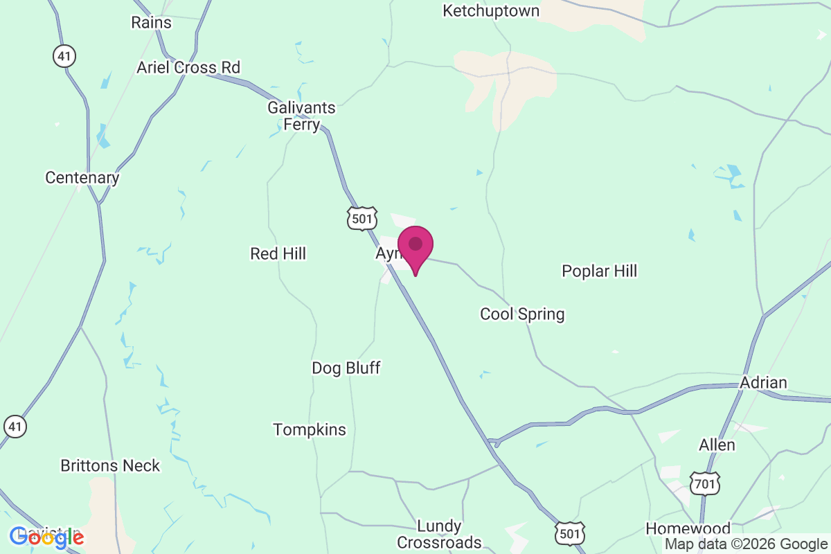 Aynor map