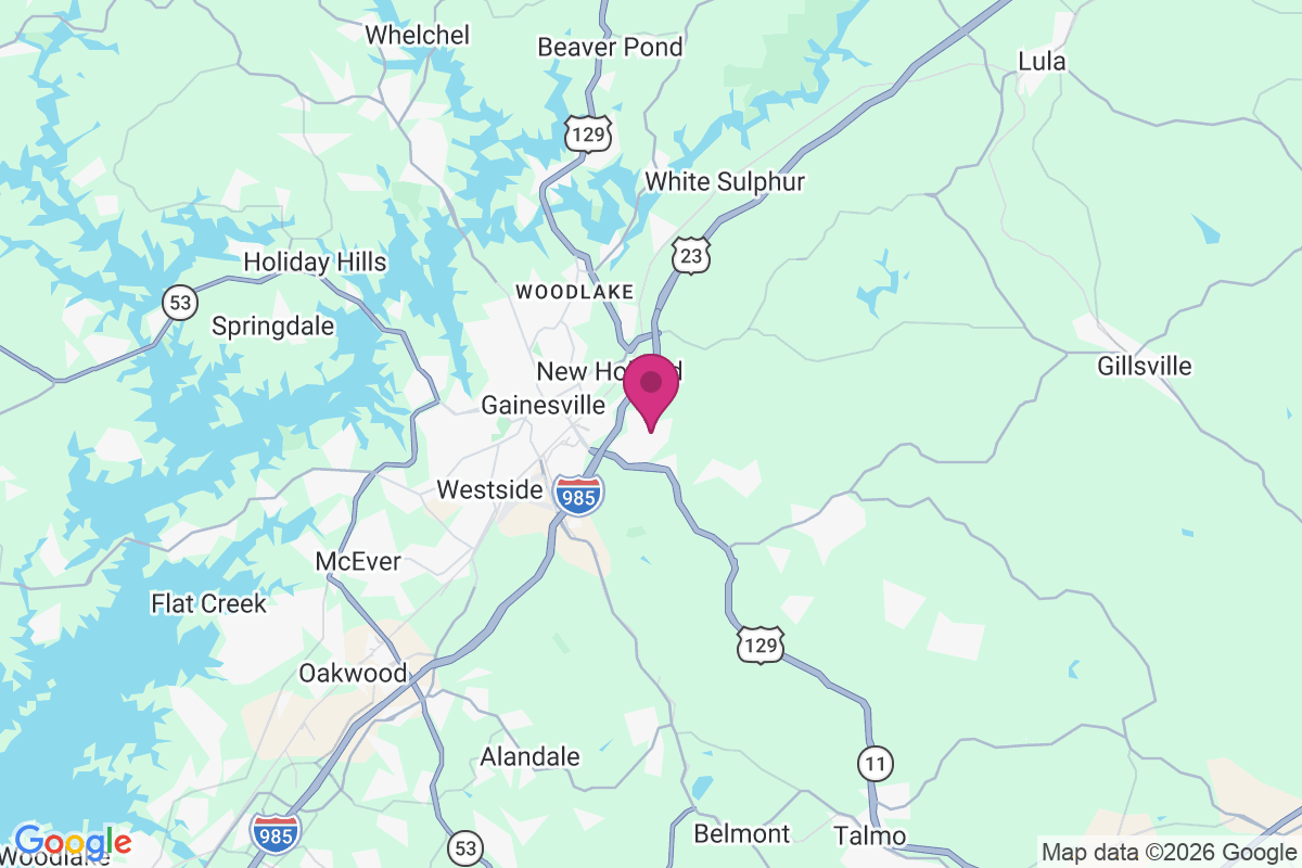 Wild Fern map