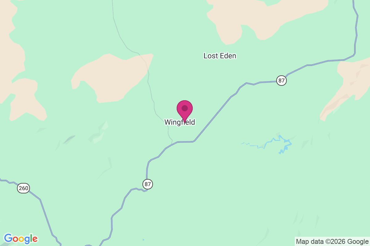 Wingfield map