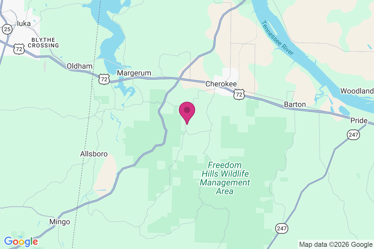 Mount Hester map