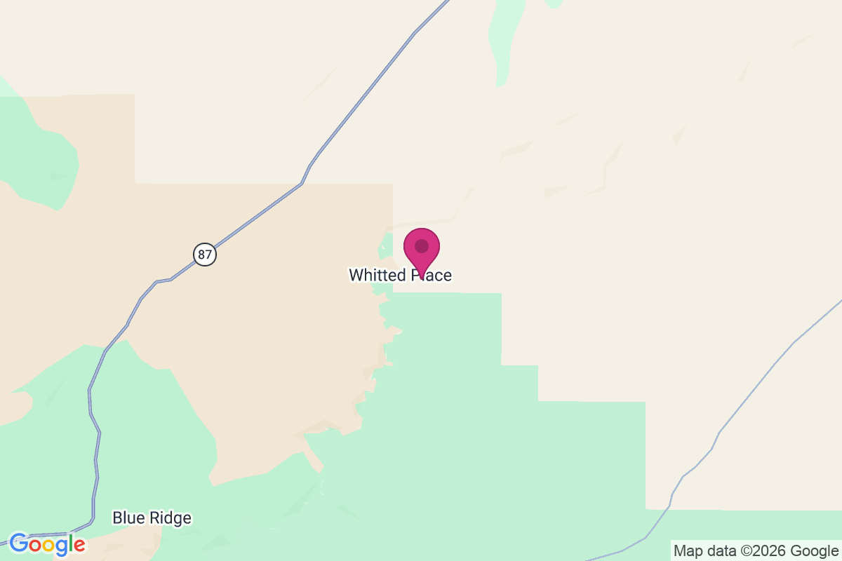 Whitted Place map