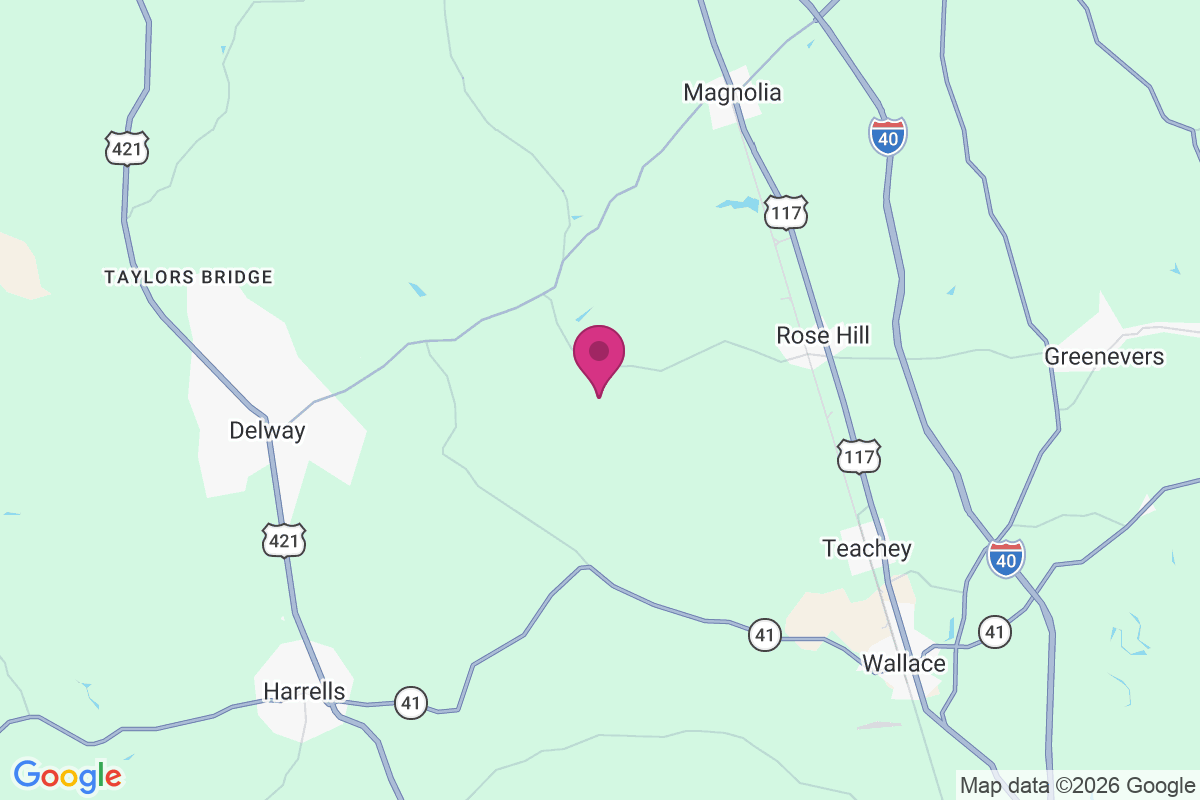 Brices Crossroads map