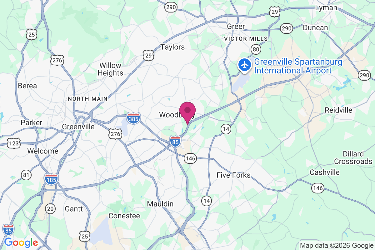 Palmetto Downs map