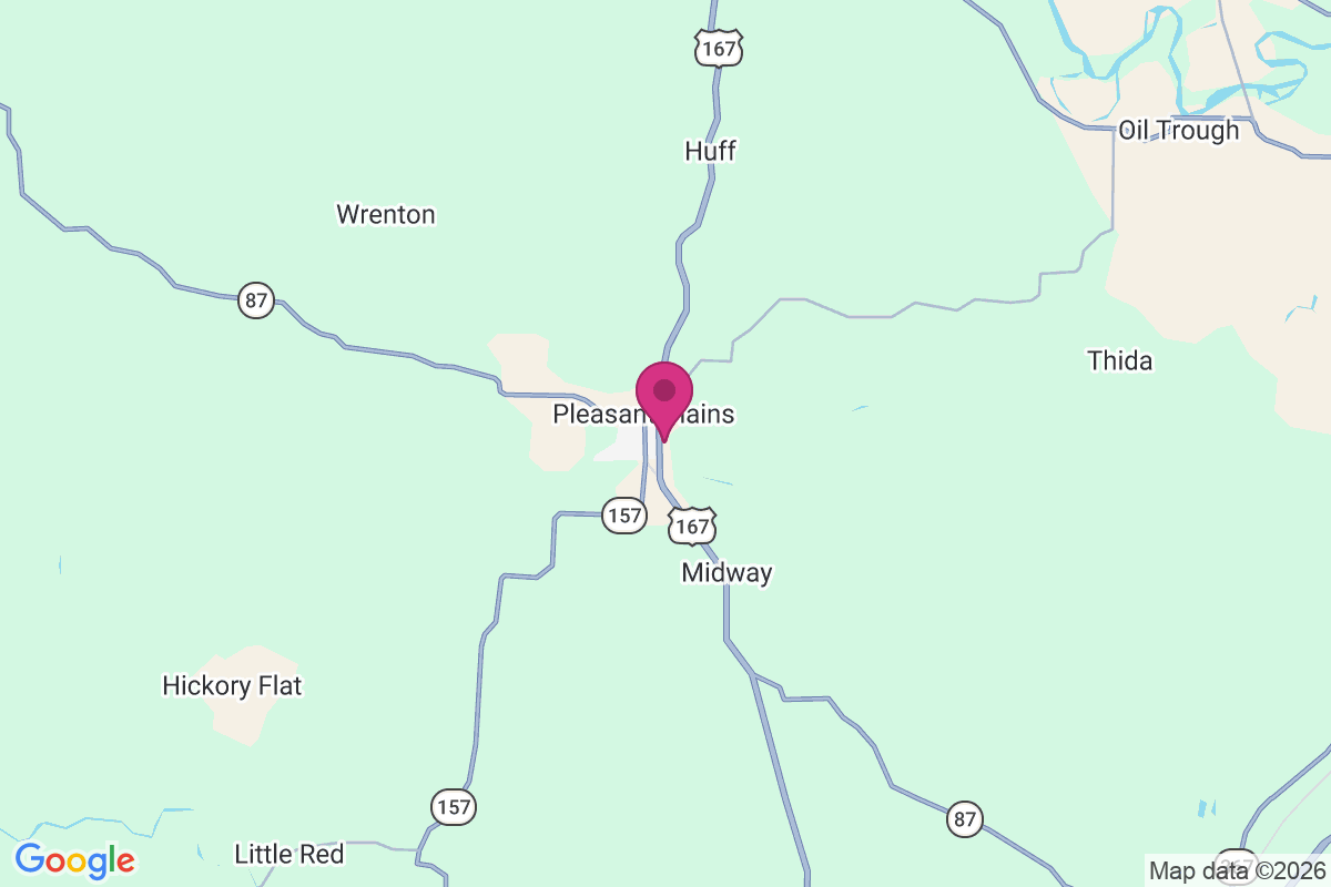 Pleasant Plains map