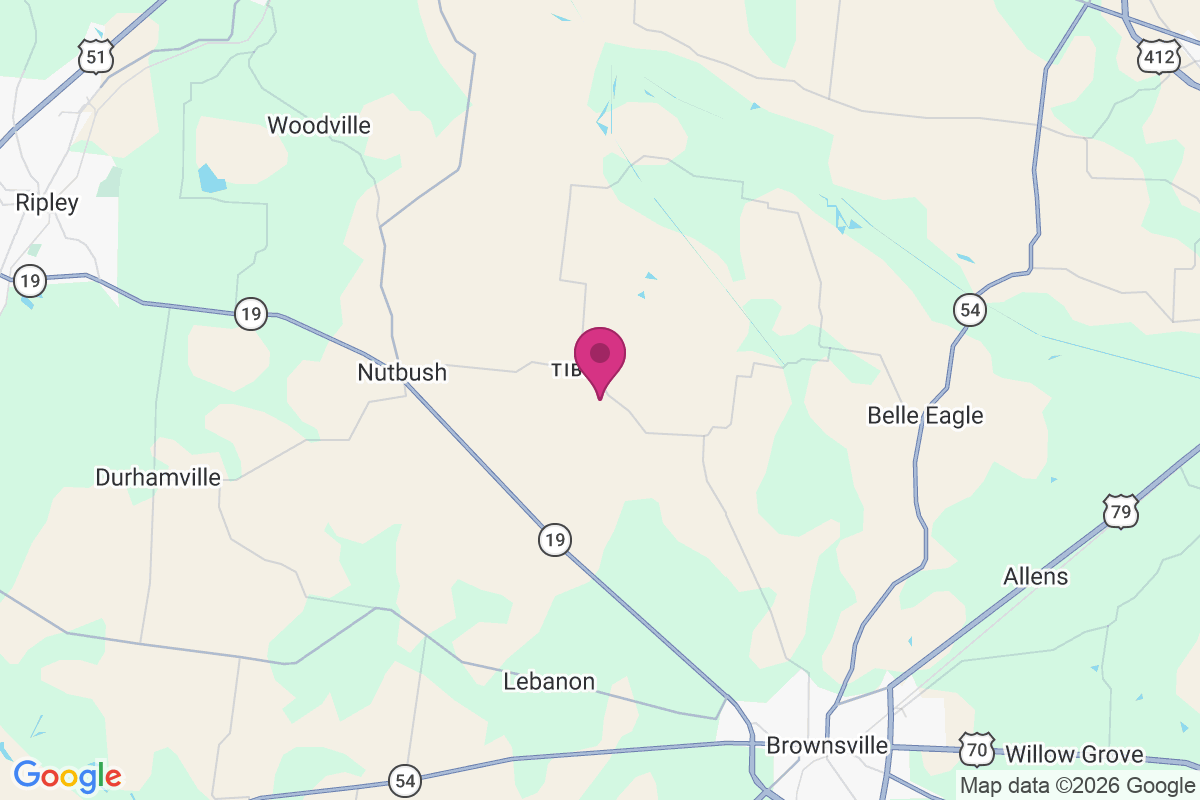 Tibbs map