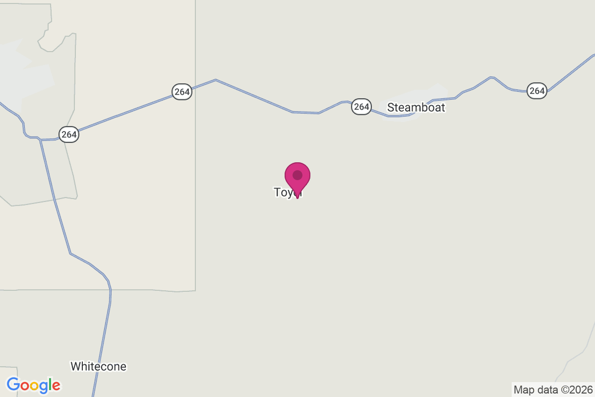 Toyei map