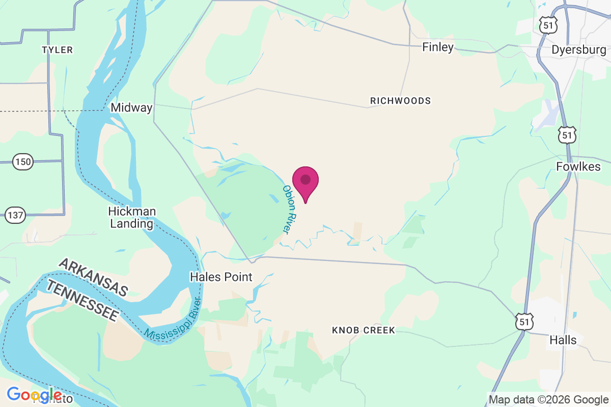 Stinger map
