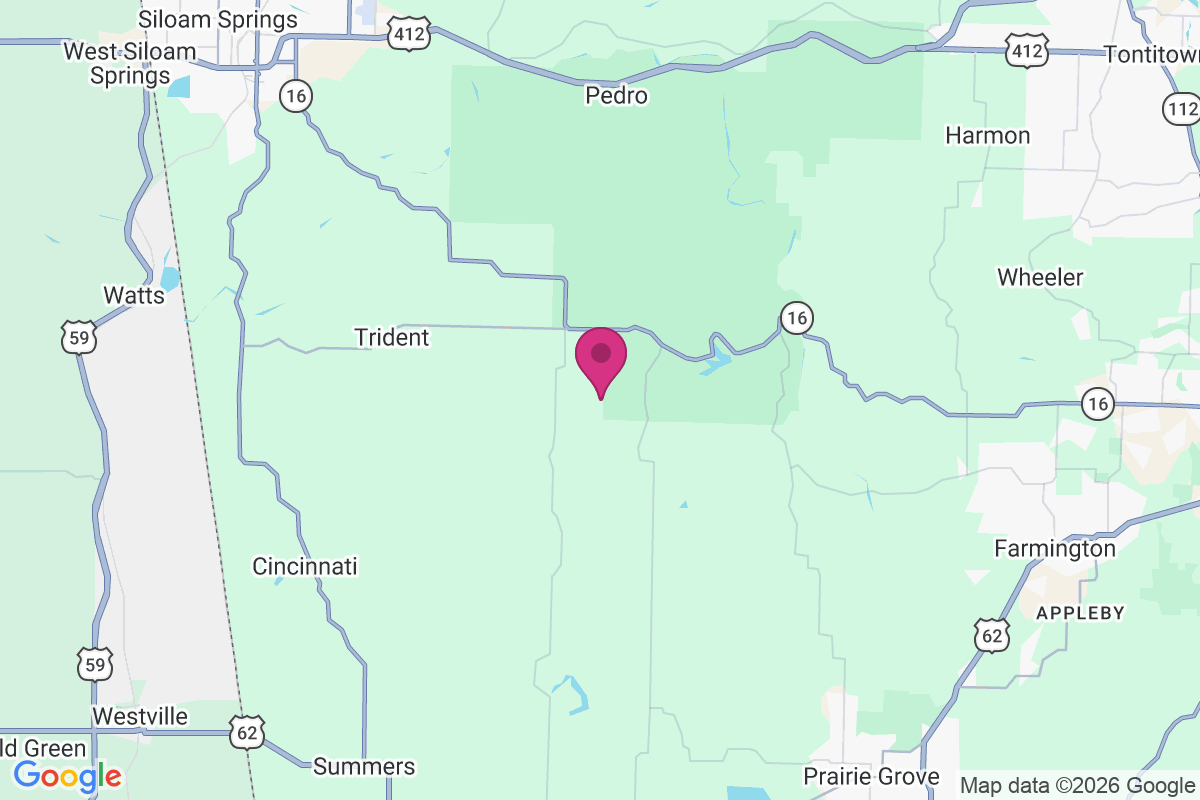 Weddington map