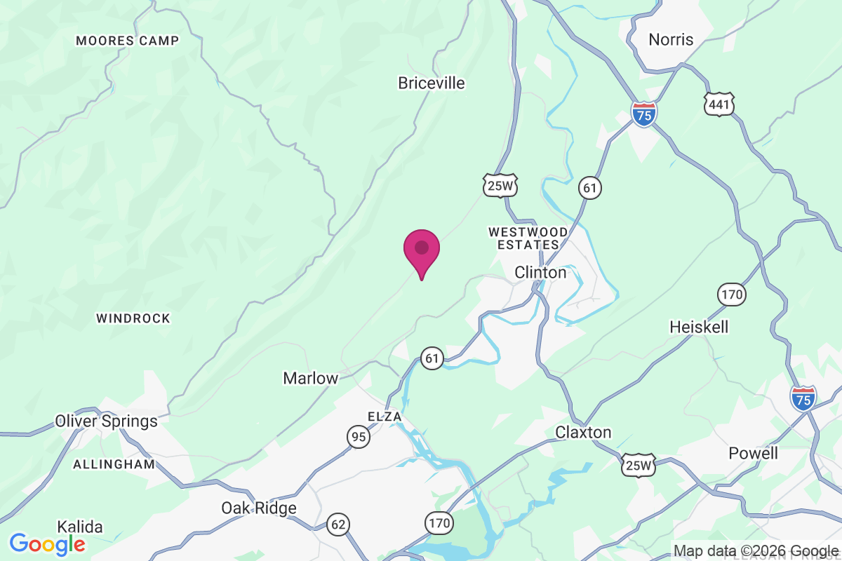 Leinarts map