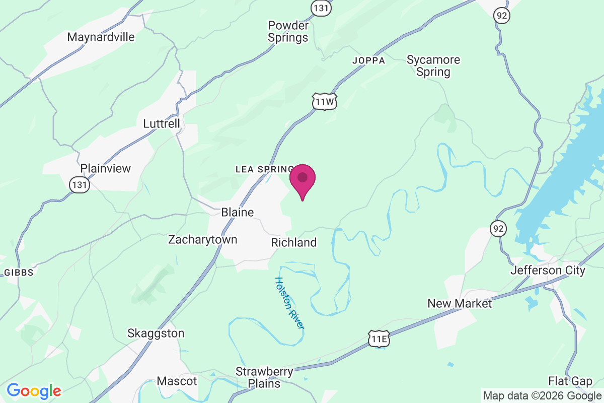 Mitchell Ford map