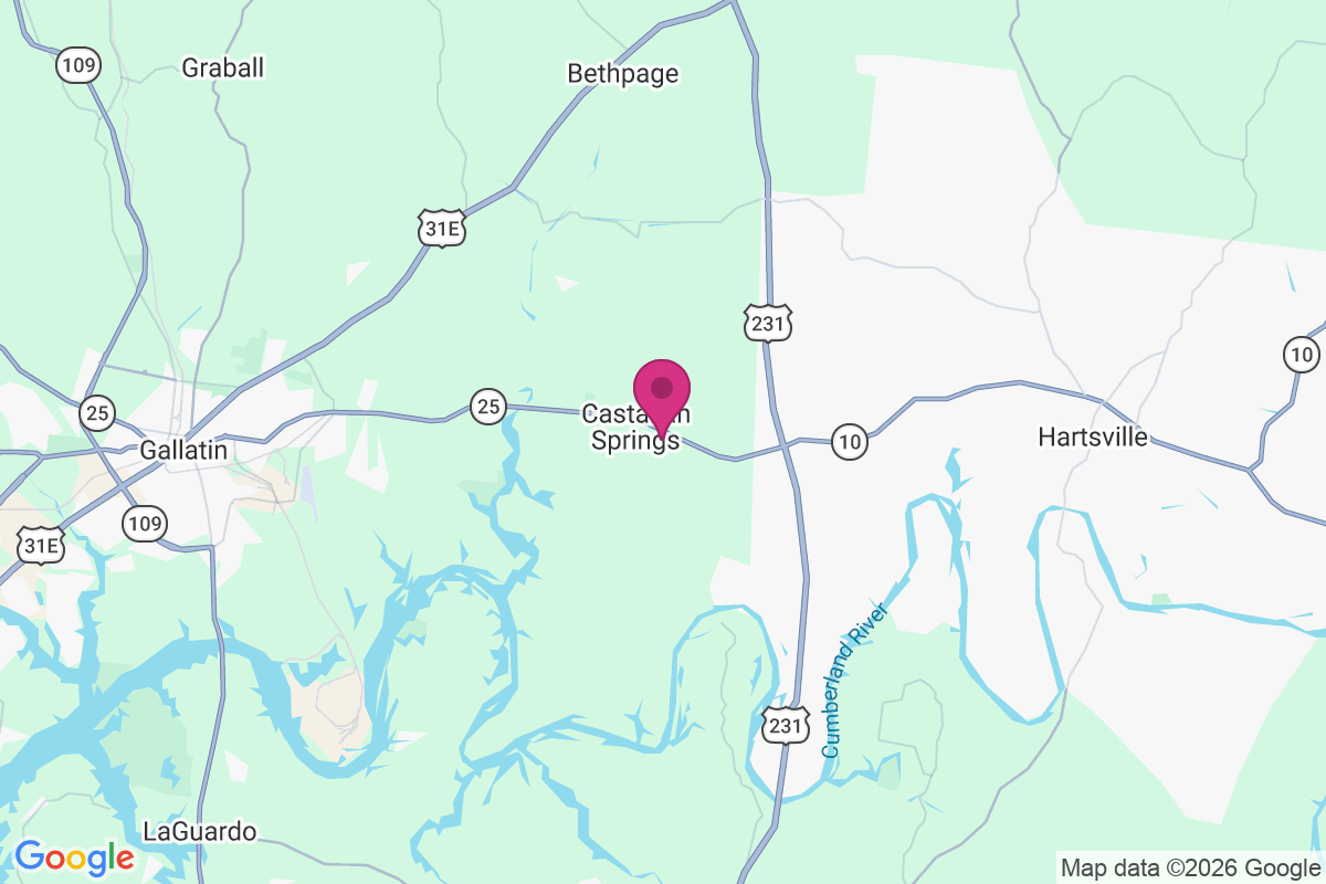 Castalian Springs map